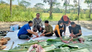 MAHASISWA FAKULTAS TARBIYAH IAIN SAS BABEL GELAR PENYEMBELIHAN HEWAN QURBAN IDUL ADHA 1445 H/2024 M